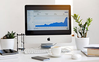 开云体育娱乐app安全-巴西举办篮球主题展览，巴西篮球全武行