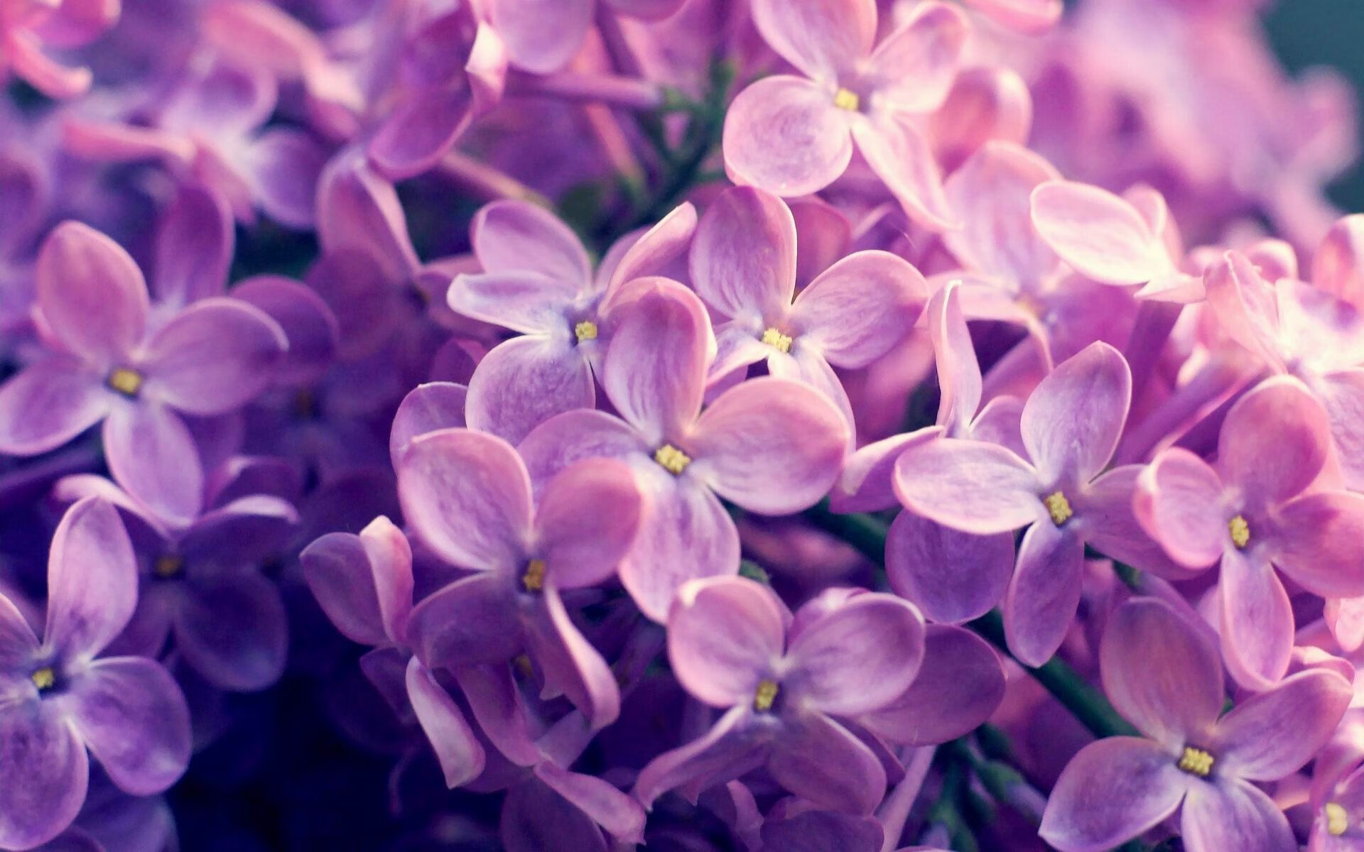 开云娱乐app安全登录-威金斯交易成传真，湖人队迎来新伙伴，nba威金斯在哪个队