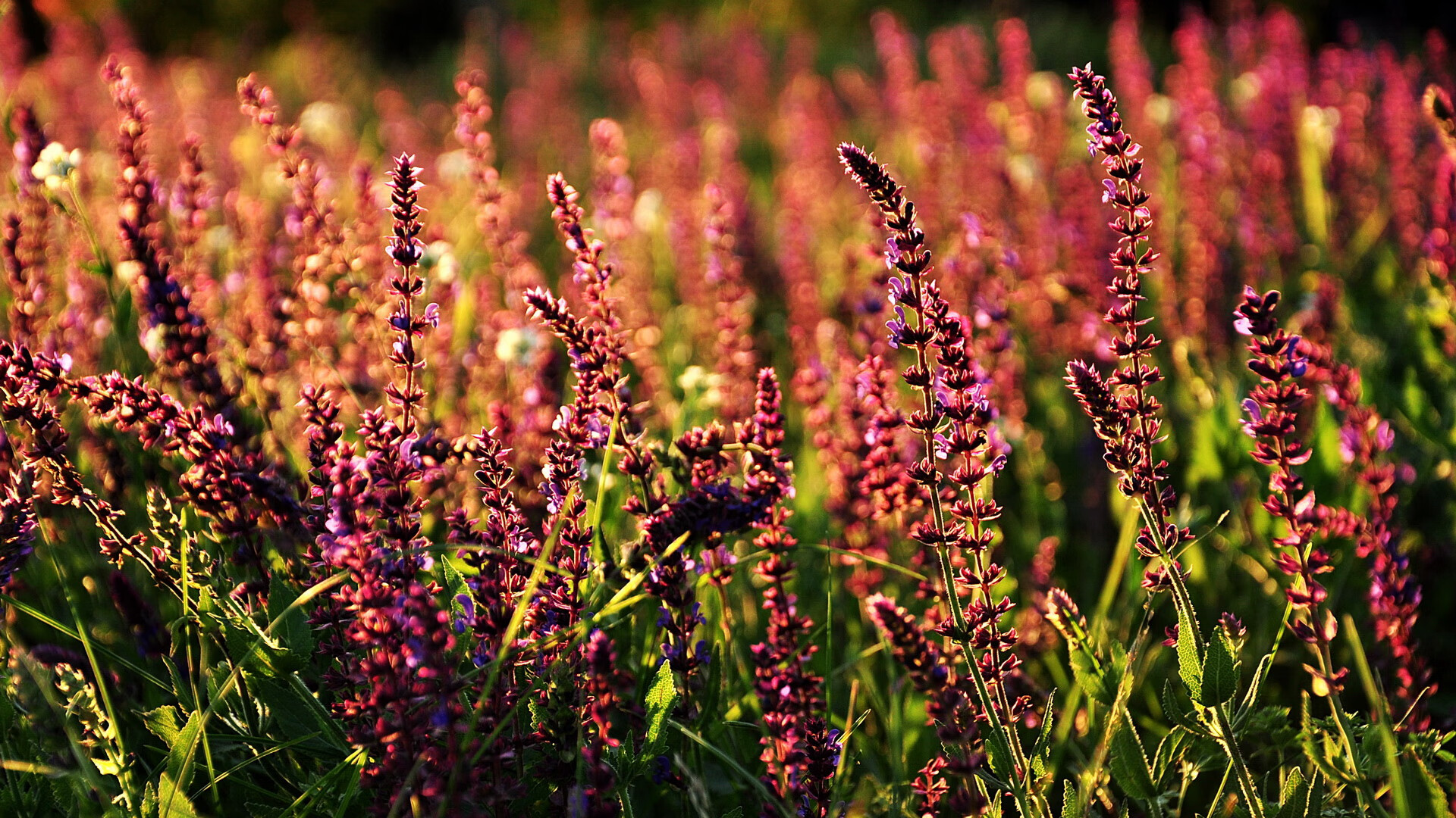 女足世界杯历史回顾展,女足世界杯历史回顾展示