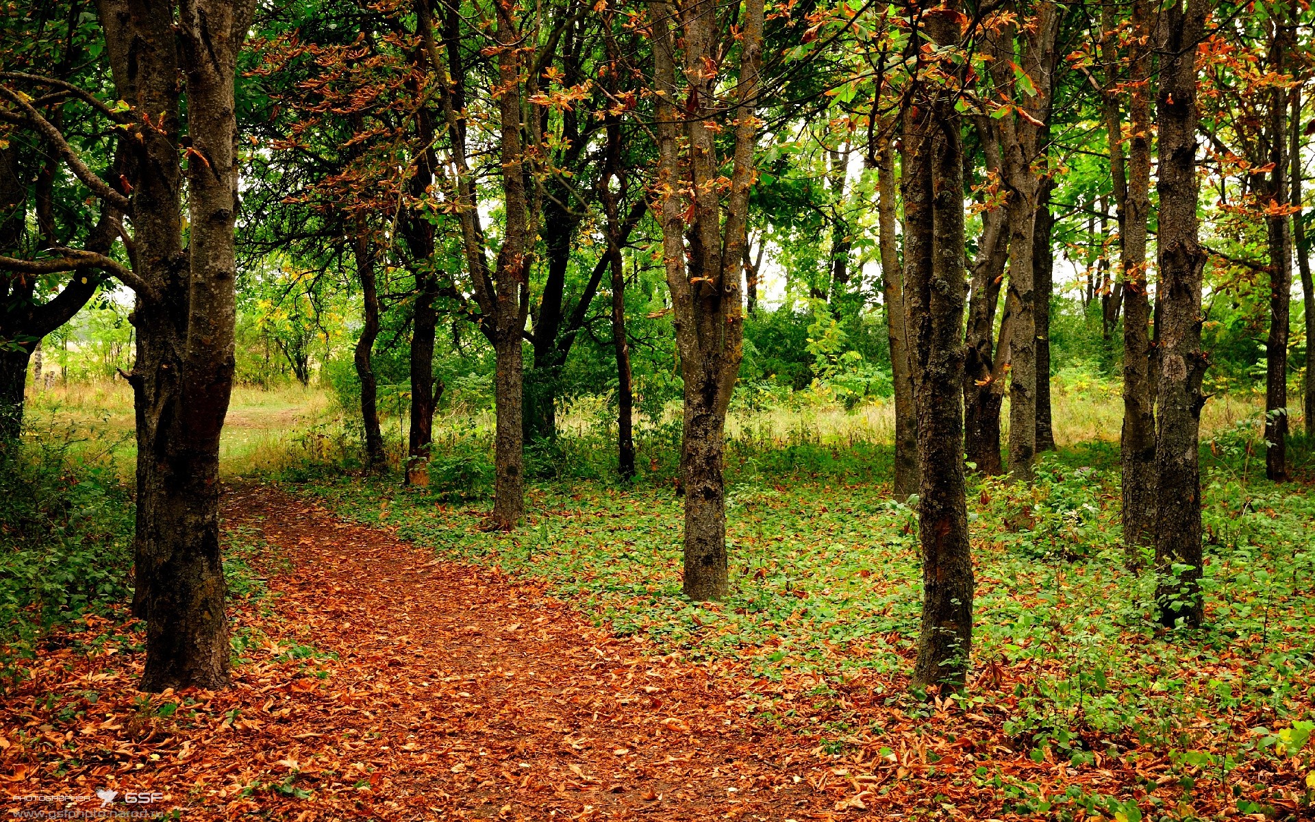开云体育网址-青岛黄海球员全力以赴，为球队争取机会，青岛黄海足球队降级了吗