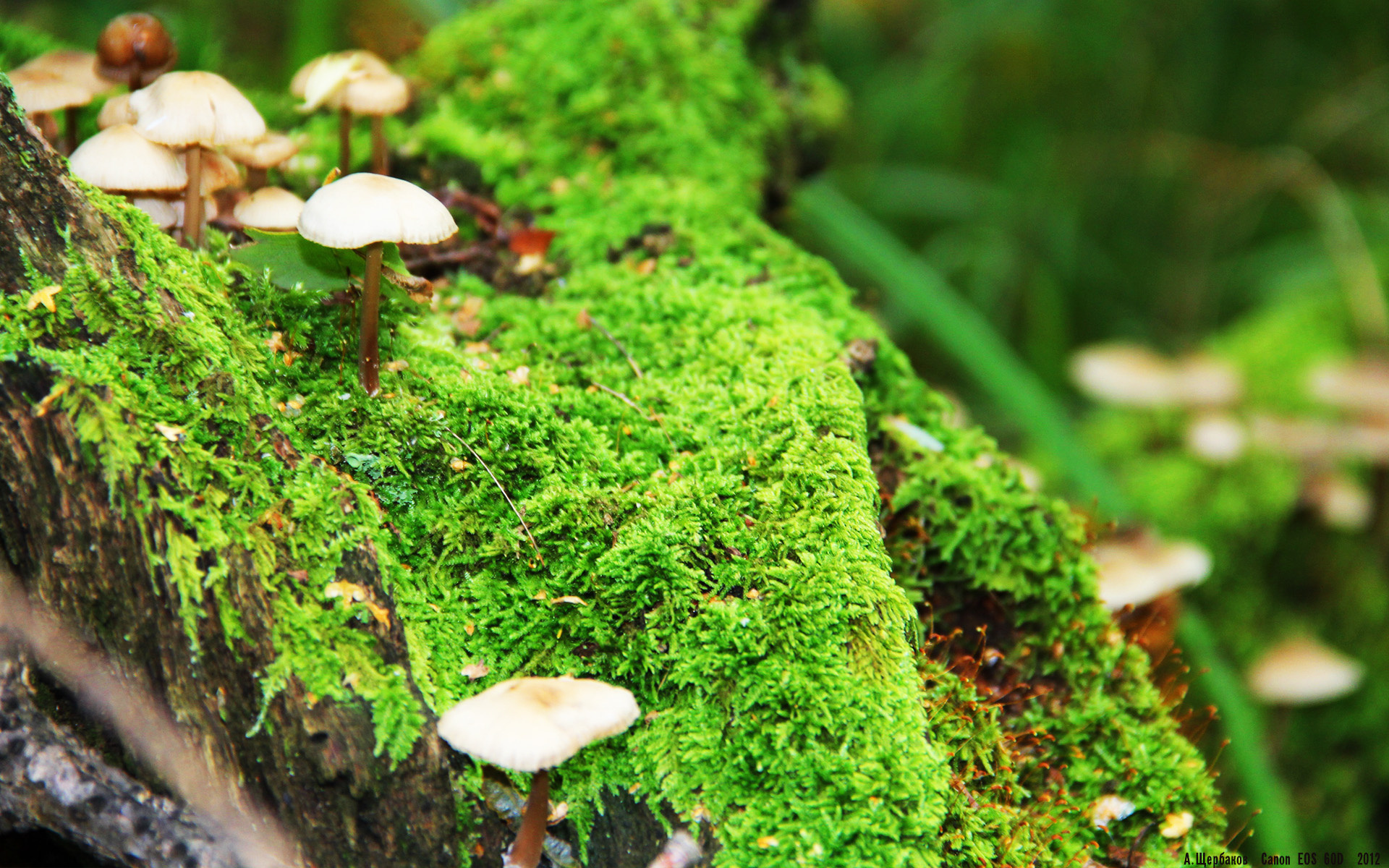 kaiyun app download-阿尔·哈姆达乌伊在巴黎奥运会男足比赛中展现出强大的防守能力