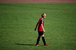 开云投注-世界拳击青年赛中国选手勇夺金腰带，世界拳击表演赛