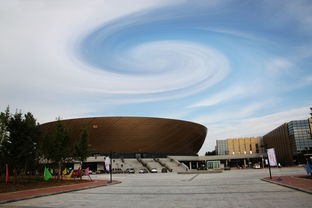 开云投注-高校体育场馆智能运营系统设计研究，高校体育场馆现状