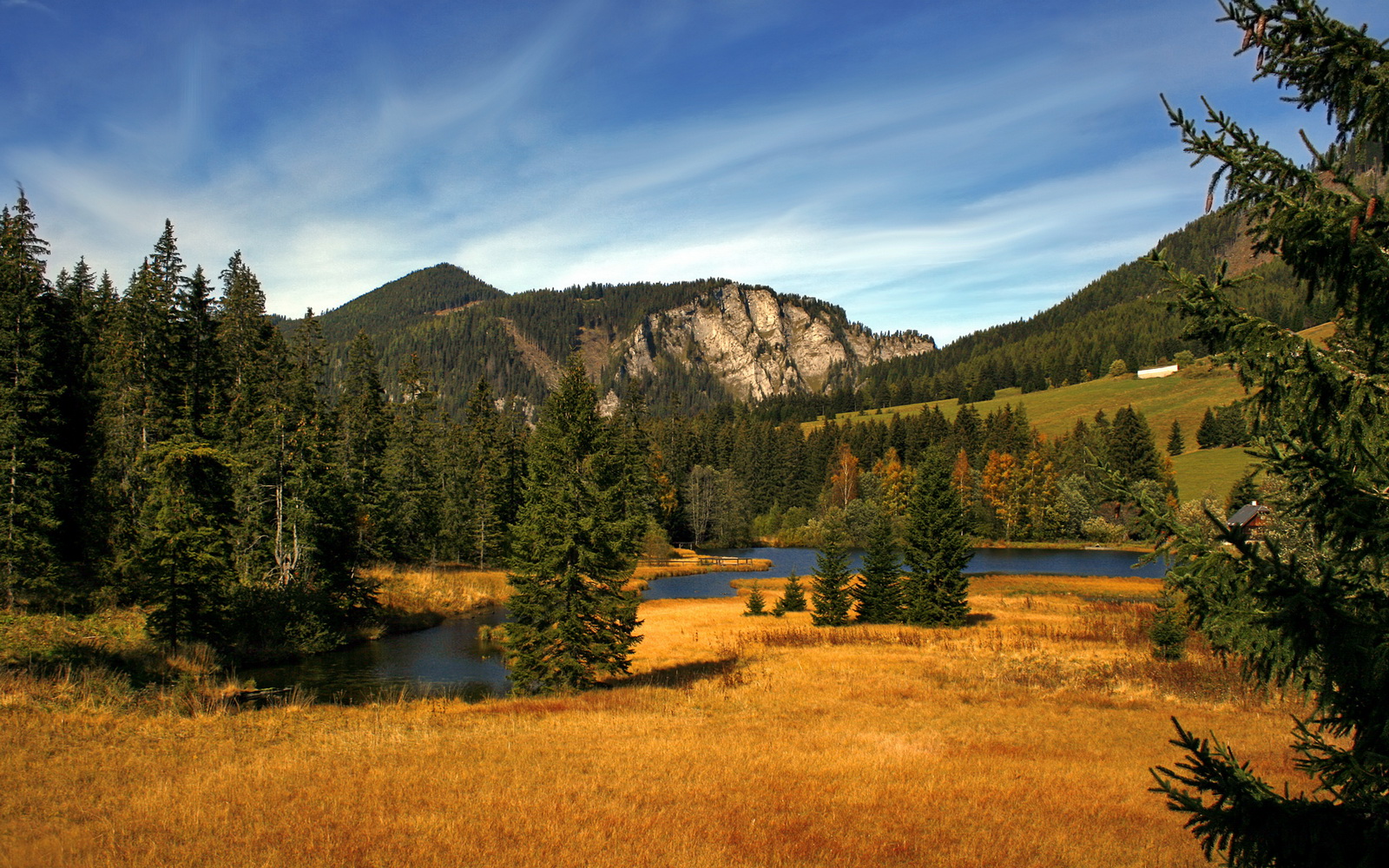 “简阳文体中心篮球赛:明星球员点燃观众激情”
