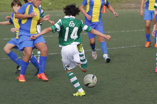 kaiyun app-体育纪录片内容更加丰富，体育纪录片主题