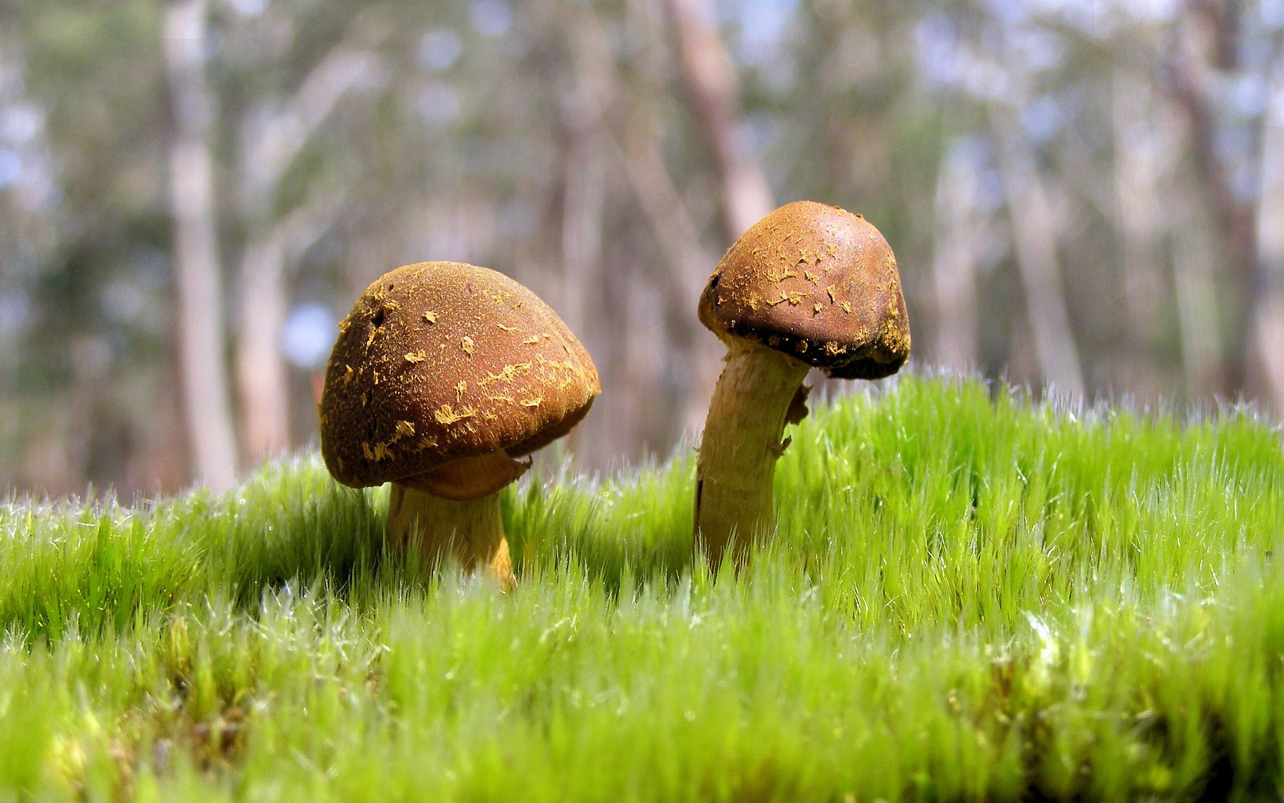 切尔西战术压制PSG,控场表现卓越,slp切尔西