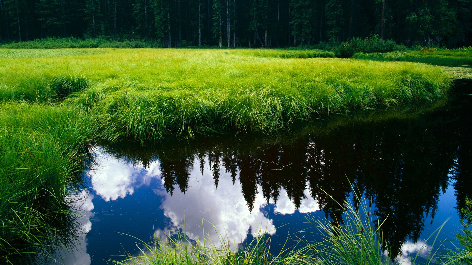 库里晒家庭训练日常强调陪伴重要,库里训练视频基础动作